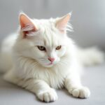 Is Your Cat Sneezing Normal